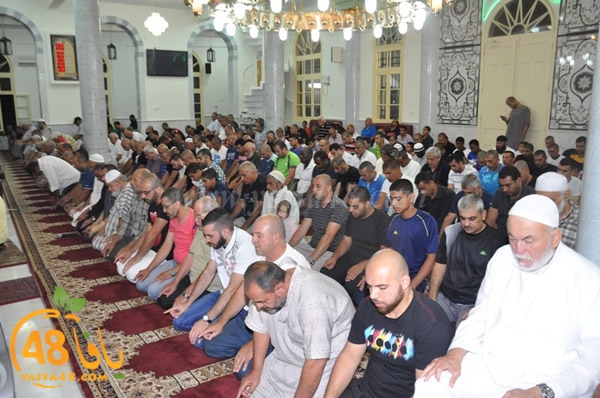 tarawee7 salah nozha (12).JPG